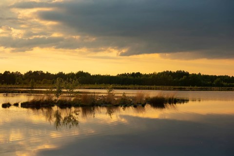 Evening at sunset in Goldenstedter Moor, Goldenstedt, Lower Saxony, Germany
