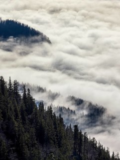 View from Vormauerstein of a sea of fog on Lake Wolfgang, inversion weather, Osterhorn Group,