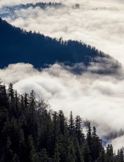 View of a sea of fog from Vormauerstein, Strobl am Wolfgangsee, church tower sticking out of the