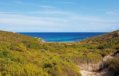 Coast at Punta de la Revellata, Calvi, Haute Corse Department, Corsica, France