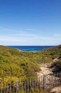 Coast at Punta de la Revellata, Calvi, Haute Corse Department, Corsica, France