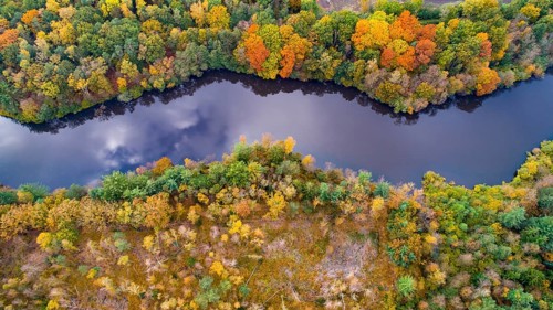Autumn forest at the Ahlhorn fish ponds, Ahlhorn, Großenkneten, Lower Saxony, Germany