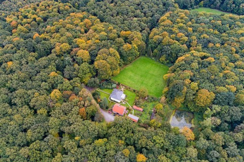 Aerial view of a beautifully coloured forest, nature reserve, forester's lodge, Herrenholz,