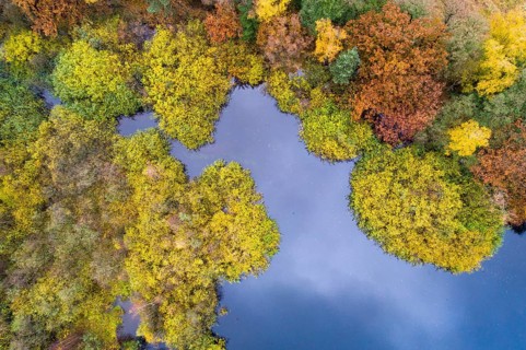 Aerial view of Ahlhorn fish ponds in autumn, Riehen, Emstek, Lower Saxony, Germany