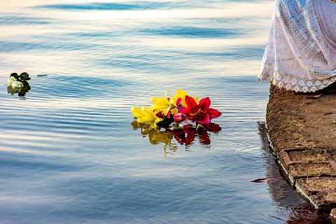 Flowers being placed in the water as an offering during a festival honoring Iemanjá, one of the