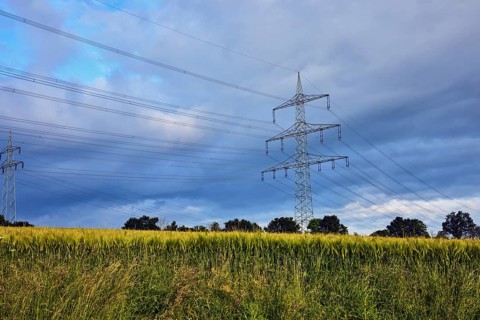 High-voltage pole, high-voltage line, cornfield, grass, blue sky, cumulus clouds, cumulonimbus