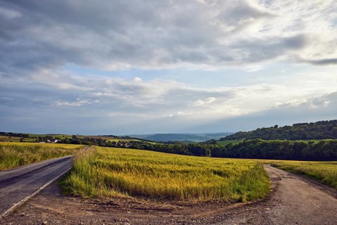 Landscape, hills, hilly landscape, confluence, dirt road, fields, cornfield, trees, meadow, haze,