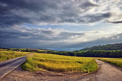 Landscape, hills, hilly landscape, confluence, dirt road, fields, cornfield, trees, meadow, haze,