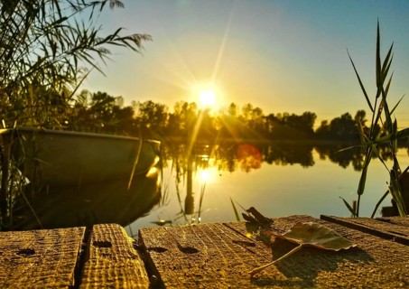 Canoe at sunset lying on the reed edge of a lake in front of a wooden jetty covered with single