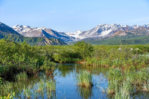 Stream and picturesque mountain landscape with Gulkana glacier and summit Icefall Peak, Richardson