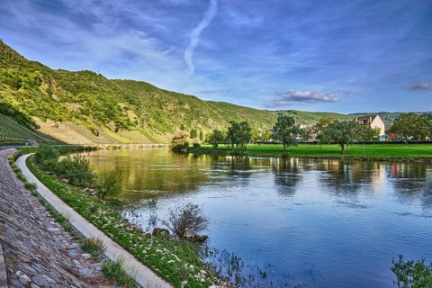 Landscape, landscape photography, Moselle river, riverbank, hill, hilly landscape, forest, trees,