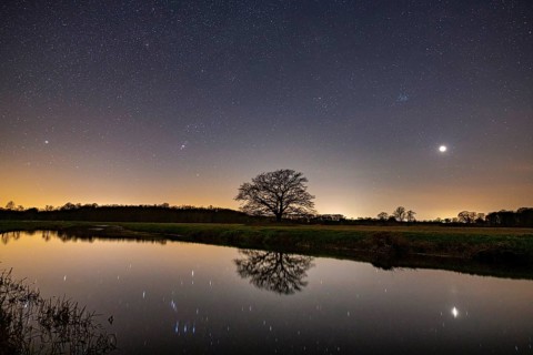 Oak (Quercus) on the river Hunte at night with stars, in the sky, darkness, Colnrade, Lower Saxony,