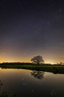 Oak (Quercus) on the river Hunte at night with stars, in the sky, darkness, Colnrade, Lower Saxony,