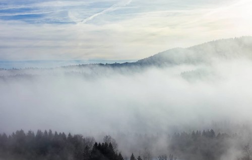 Autumn landscape, trees rising from the fog, inversion weather, Mondseeland, Salzkammergut, Upper