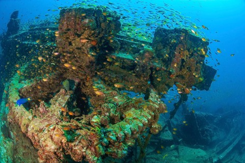 Underwater photo Large cog and parts from former sunken tin excavator Boonsung wreck off the coast