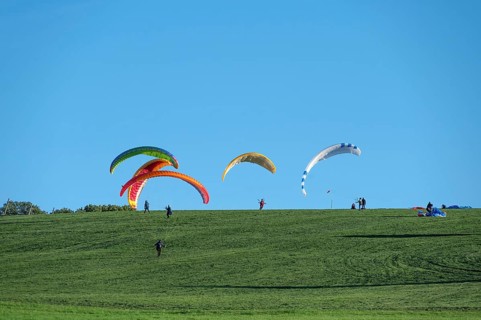 Paragliders practice on a meadow slope, Tauchersreuth, Middle Franconia, Bavaria, Germany