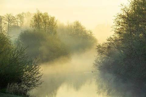 River Lohne at sunrise with fog, Dümmer, Lembruch, Lower Saxony, Germany