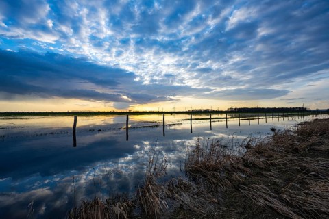 Evening sky is reflected in high water in Ochsenmoor am Dümmer, Ochsenmoor, Hüde, Lower Saxony,