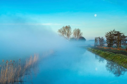 River Lohne at daybreak with fog, Dümmer, Lembruch, Lower Saxony, Germany