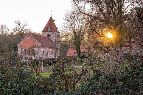 St. Firminus Church in Dötlingen, 1000 year old oak tree, Wildeshausener Geest, Dötlingen, Lower