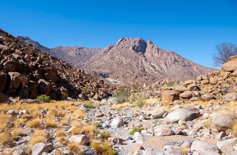 Hiking to White Lady, Dry Mountain Landscape, Tsisab Gorge, Brandberg, Erongo, Namibia