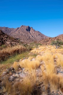 Hiking to White Lady, Dry Mountain Landscape, Tsisab Gorge, Brandberg, Erongo, Namibia