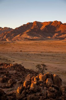 Desert landscape with Brandberg in morning light, at sunrise, Erongo, Damaraland, Namibia
