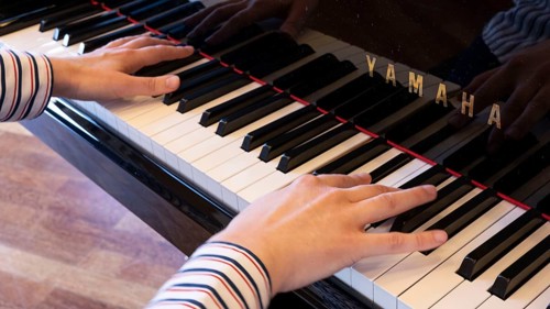 Hands playing a piano, Stapelfeld, Cloppenburg, Lower Saxony, Germany