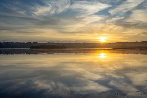 Ahlhonrer fish pond with fog at daybreak, fog, reeds, sunrise, Ahlhorn, Lower Saxony, Germany