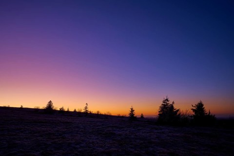 Sunset with tree silhouettes and colorful sky in purple and orange, European beech, winter,