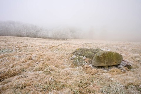 Scattered rocks on a frosty, foggy meadow, winter, Route de Cretes, Hohneck, La Bresse, Vosges,