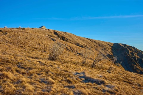 Barren hills with grasses under clear sky and no snow cover, morning, winter, Hohneck, La Bresse,