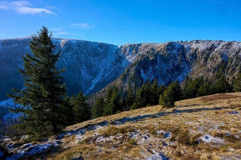 Snowy mountain landscape with spruce trees in the foreground, viewpoint, Martinswand, Frankental,