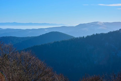 View of foggy mountain ranges and forests under clear sky, morning, viewing direction, Rhine