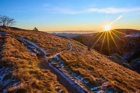 A snow-lined path through the meadow landscape in the light of sunrise, looking towards the Rhine