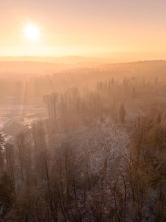Forest landscape with trees and soft morning light fog, old deposit, construction site for PV open