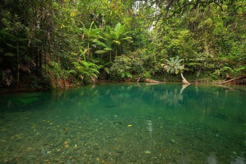 The Blue Hole, Cooper Creek, Daintree National Park, Queensland, Australia