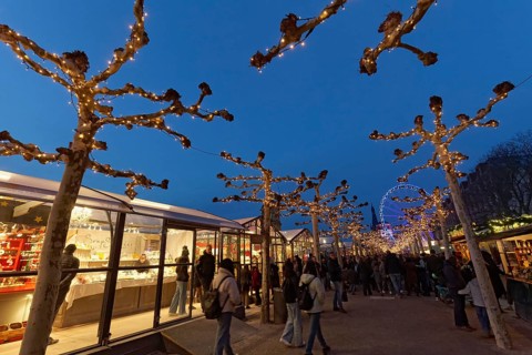 Christmas market in Düsseldorf's old town, Roncalli's Christmas promenade, evening, Düsseldorf,