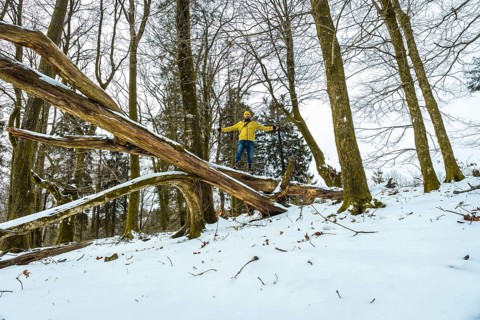 Man wearing a yellow jacket and hat balancing arms outstretched on a large fallen tree log covered