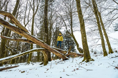 Man wearing a yellow jacket and beanie standing thoughtfully on a large fallen tree trunk in a snow