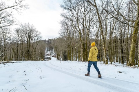 Person with yellow jacket and beanie beanie walking down a snow covered road winding through a bare