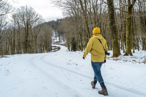 Man with camera backpack trekking a winding snowy path through a bare winter forest, enjoying