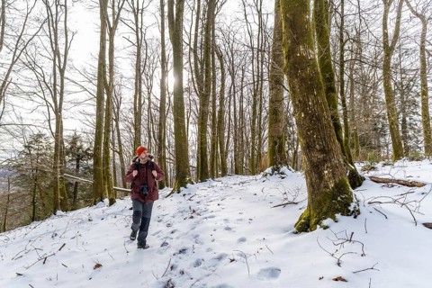 Man wearing winter clothing and a backpack walking on a snow covered path through a barren forest,