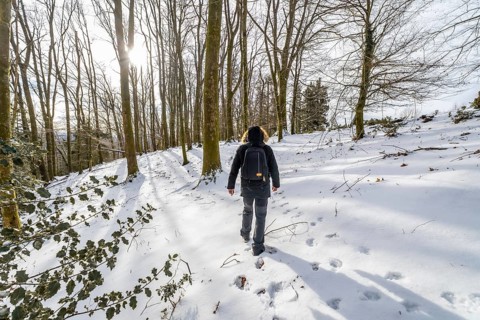 Person walking alone in a peaceful snow covered forest during winter, enjoying a serene outdoor