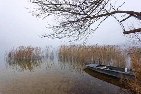 Foggy autumn atmosphere at the lake with fishing boat in reeds, Irrsee, Salzkammergut, Upper