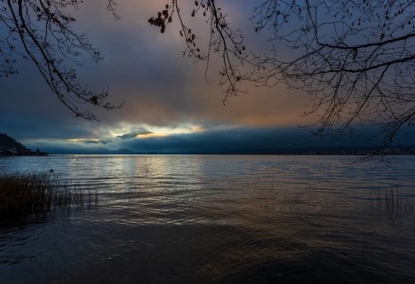 Quiet morning atmosphere at sunrise on a lake with reeds in the foreground, Mondsee, Salzkammergut,
