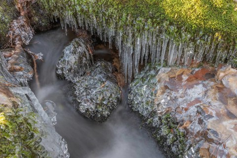 Branches are covered with ice near the river. The water flows gently and forms ice formations on