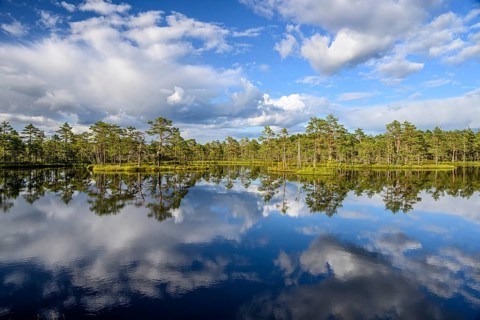 A clear moor lake with tree reflection under a cloudy sky, Hällefors, Örebro län, Sweden