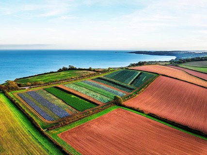 Colours of autumn Fields and Farms over Sheldon from a drone, Torbay, Devon, England, United