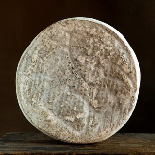 Saint-Nectaire cheese is displayed against a dark backdrop, highlighting the textured rind and